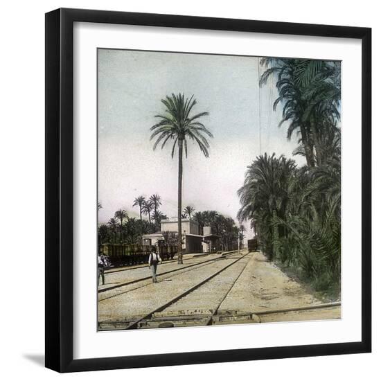 Photographic Print, , large