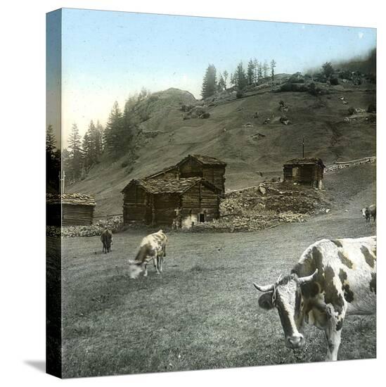 Stretched Canvas Print, , large