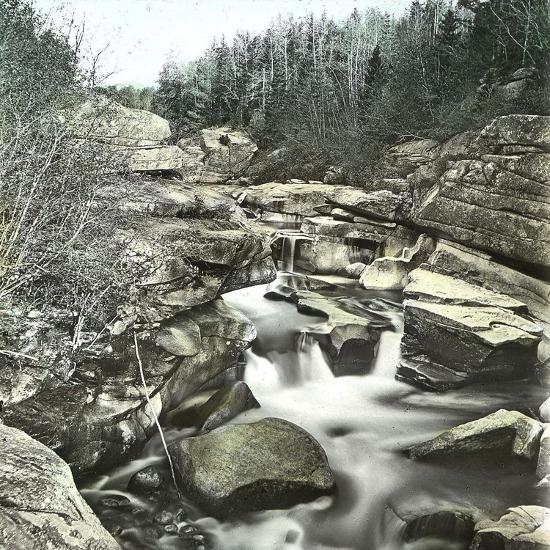 Premium Photographic Print, , large