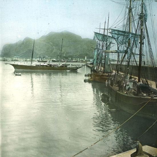 Photographic Print, , large