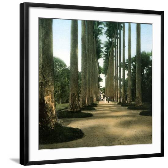 Photographic Print, , large