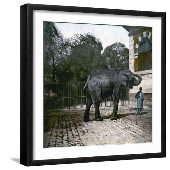 Photographic Print, , large