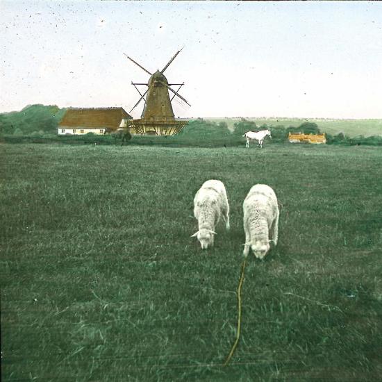 Photographic Print, , large