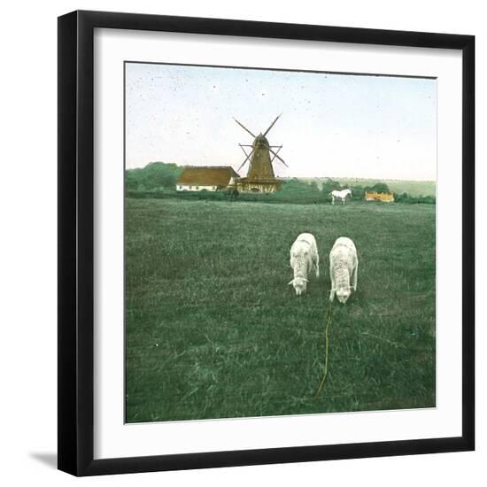 Premium Photographic Print, , large