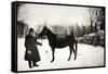 Leon Tolstoi (1828-1910) Avec Un Cheval Dans Son Domaine De Iasnaia Poliana (Russie). Photographie-Sophia Andreevna Tolstaya-Framed Stretched Canvas