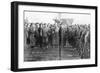 Leon Trotsky, People's Commissar of War, Reviewing Red Army Troops in Moscow, Russia, 1918-null-Framed Giclee Print