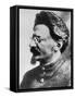 Leon Trotsky-null-Framed Stretched Canvas