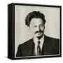 Leon Trotsky-null-Framed Stretched Canvas