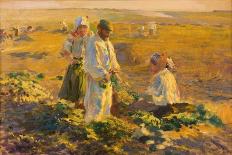 Marsh Marigolds, 1909 (Oil on Canvas)-Leon Wyczolkowski-Giclee Print