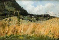 Marsh Marigolds, 1909 (Oil on Canvas)-Leon Wyczolkowski-Mounted Giclee Print