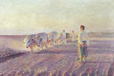 Ploughing in the Ukraine, 1892 (Oil on Canvas)-Leon Wyczolkowski-Framed Giclee Print