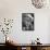 Leonard Bernstein-Marion S. Trikosko-Framed Stretched Canvas displayed on a wall