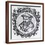 Brown Frame