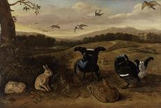 Black Game, Rabbits and Swallows in a Park, C.1700-Leonard Knyff-Giclee Print