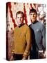 Leonard Nimoy; William Shatner. "Star Trek" [1966].-null-Stretched Canvas