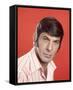 Leonard Nimoy-null-Framed Stretched Canvas