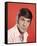 Leonard Nimoy-null-Framed Stretched Canvas