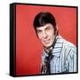 Leonard Nimoy-null-Framed Stretched Canvas