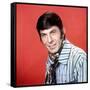 Leonard Nimoy-null-Framed Stretched Canvas