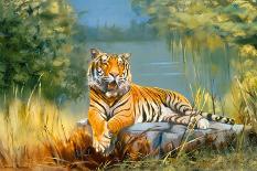 Siberian Tiger-Leonard Pearman-Giclee Print