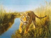 Tiger In The Indian Sunderbans-Leonard Pearman-Framed Giclee Print