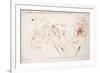 Leonardo 111 (drawing)-Ralph Steadman-Framed Giclee Print