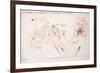 Leonardo 111 (drawing)-Ralph Steadman-Framed Giclee Print