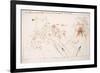 Leonardo 111 (drawing)-Ralph Steadman-Framed Giclee Print