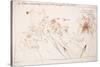 Leonardo 111 (drawing)-Ralph Steadman-Stretched Canvas