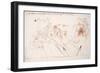 Leonardo 111 (drawing)-Ralph Steadman-Framed Giclee Print