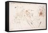 Leonardo 111 (drawing)-Ralph Steadman-Framed Stretched Canvas