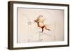 Leonardo 112, Rearing Horse (drawing)-Ralph Steadman-Framed Giclee Print