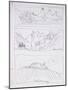 Leonardo 116 (drawing)-Ralph Steadman-Mounted Giclee Print