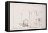 Leonardo 121 (drawing)-Ralph Steadman-Framed Stretched Canvas