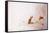 Leonardo 164 (drawing)-Ralph Steadman-Framed Stretched Canvas