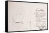 Leonardo 46 (drawing)-Ralph Steadman-Framed Stretched Canvas