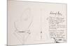 Leonardo 46 (drawing)-Ralph Steadman-Mounted Giclee Print