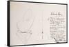 Leonardo 46 (drawing)-Ralph Steadman-Framed Stretched Canvas