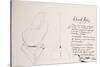 Leonardo 46 (drawing)-Ralph Steadman-Stretched Canvas