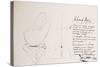 Leonardo 46 (drawing)-Ralph Steadman-Stretched Canvas