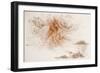 Leonardo 50 (drawing)-Ralph Steadman-Framed Giclee Print
