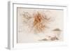 Leonardo 50 (drawing)-Ralph Steadman-Framed Giclee Print