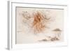 Leonardo 50 (drawing)-Ralph Steadman-Framed Giclee Print