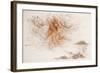 Leonardo 50 (drawing)-Ralph Steadman-Framed Giclee Print