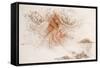 Leonardo 50 (drawing)-Ralph Steadman-Framed Stretched Canvas