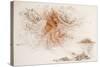 Leonardo 50 (drawing)-Ralph Steadman-Stretched Canvas