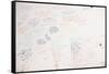 Leonardo 56 (drawing)-Ralph Steadman-Framed Stretched Canvas