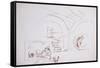 Leonardo 86 (drawing)-Ralph Steadman-Framed Stretched Canvas