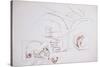 Leonardo 86 (drawing)-Ralph Steadman-Stretched Canvas