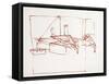 Leonardo 99 (drawing)-Ralph Steadman-Framed Stretched Canvas